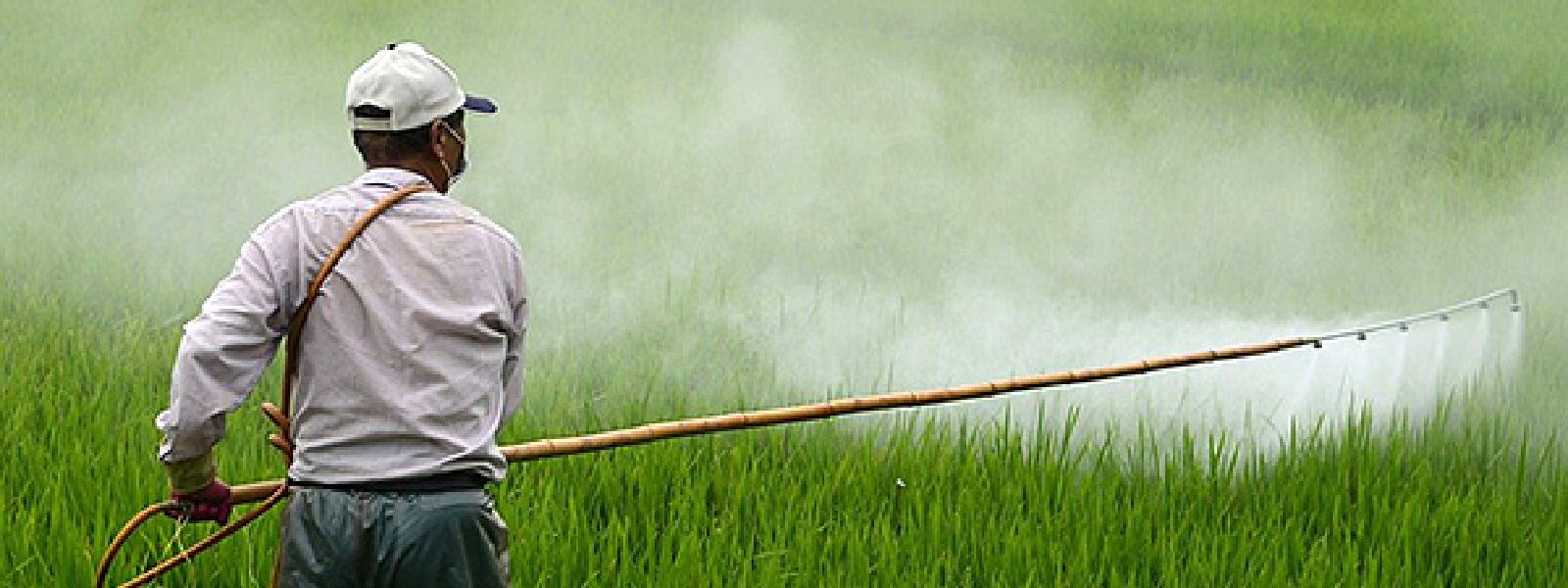 Audit report on nano-nitrogen fertilizer: Agriculture Minstry to take further action
